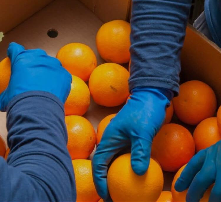 Working in Second Harvest Food Bank