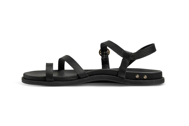 Auklet leather toe-ring sandal in black - product side shot