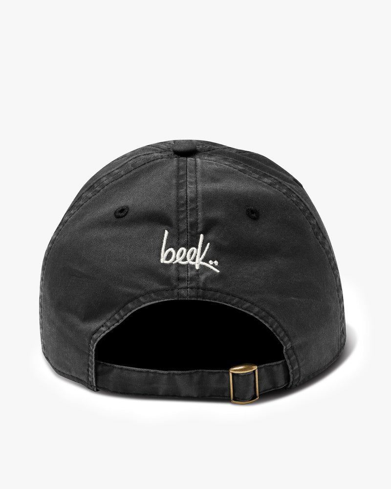 Bird Watchers Club hat in black - product back shot
