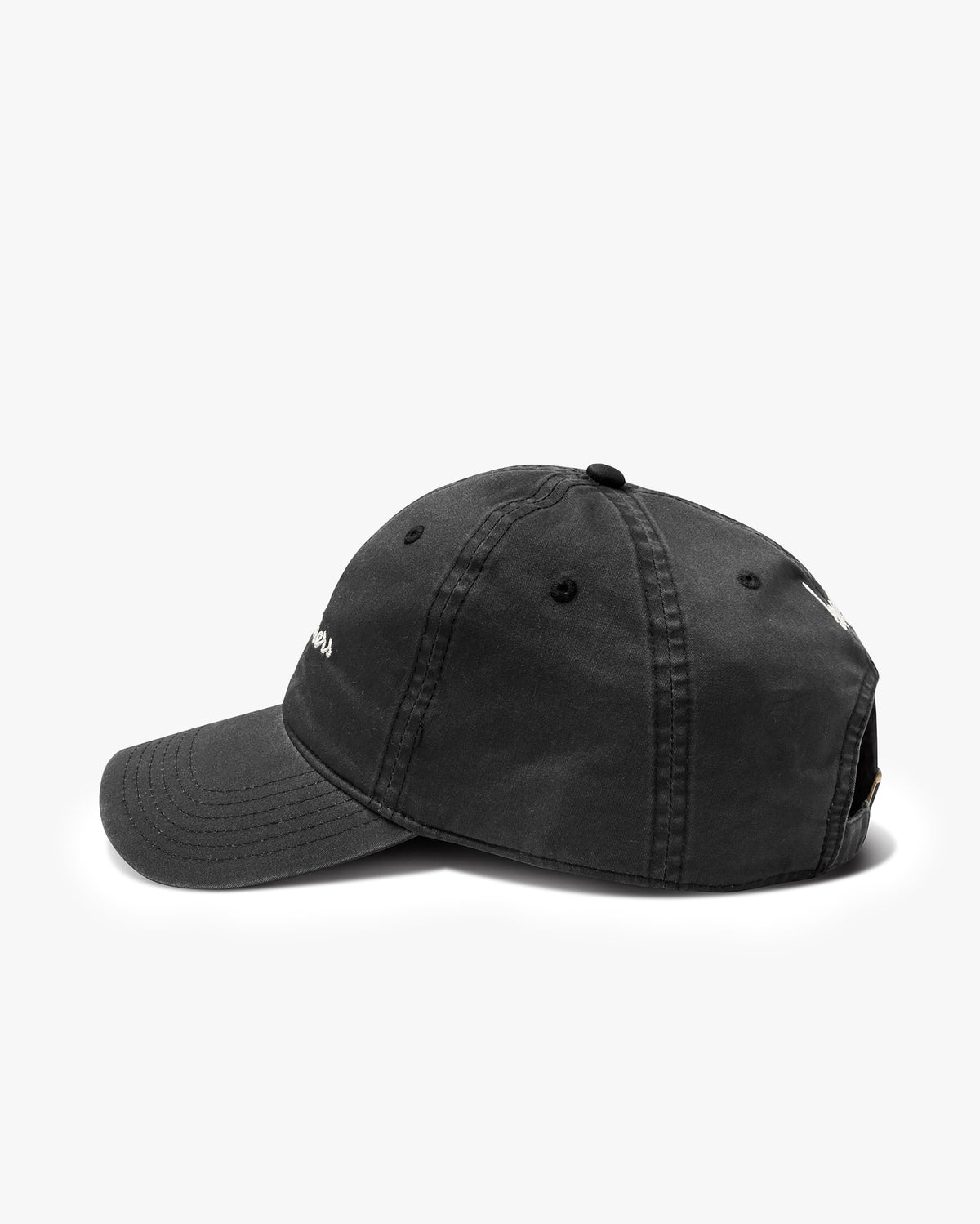 Bird Watchers Club hat in black - product side shot