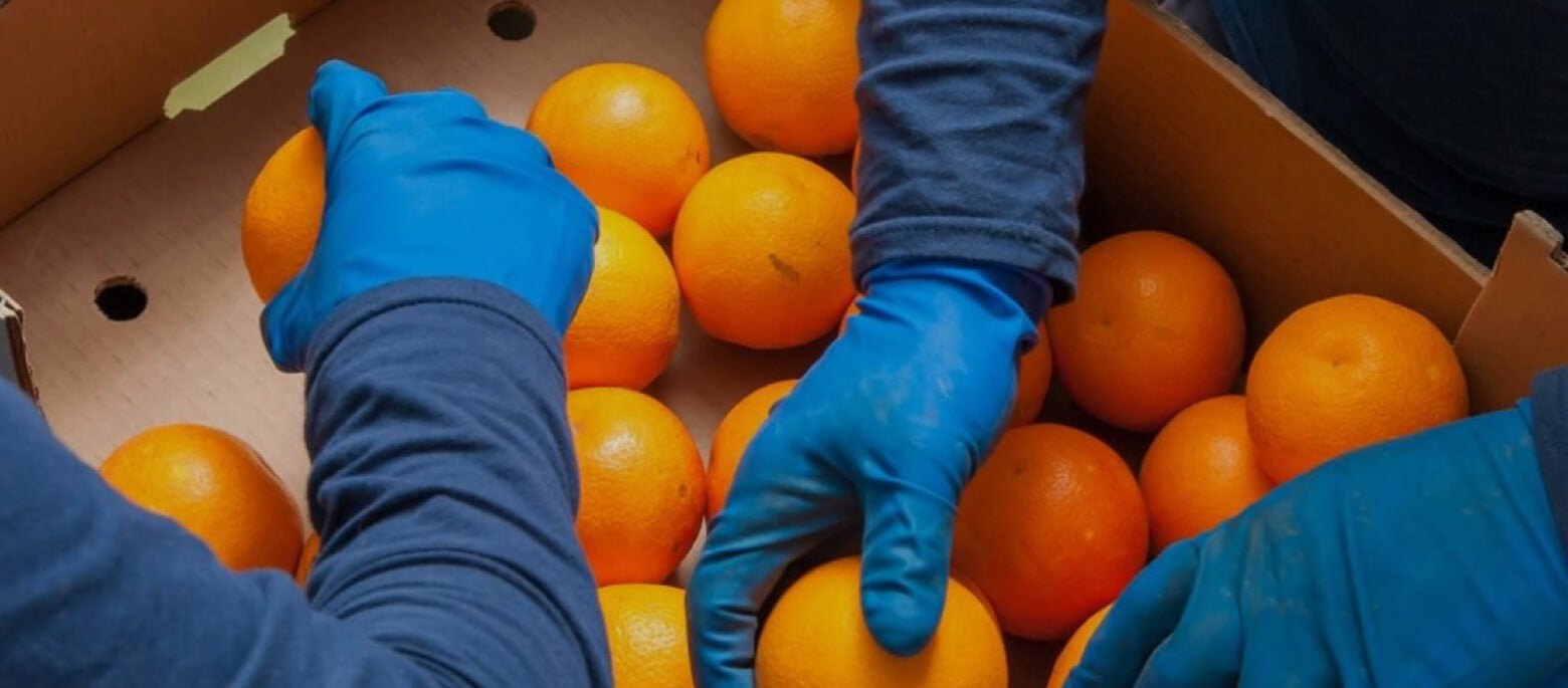 Working in Second Harvest Food Bank