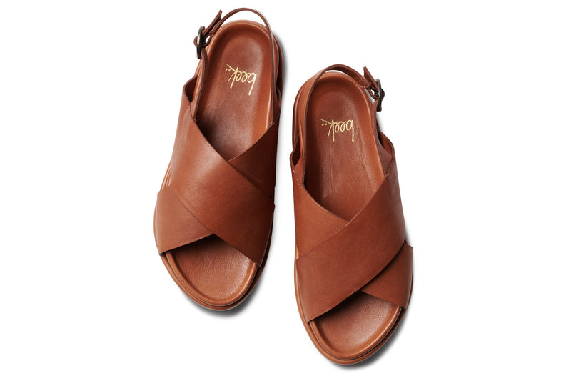 GULL - Cognac