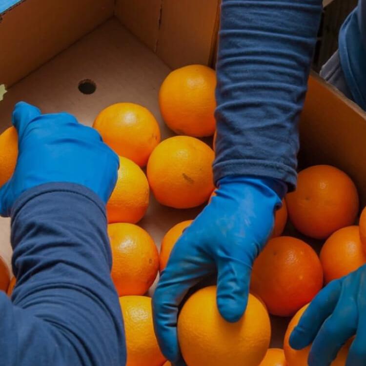 Working in Second Harvest Food Bank