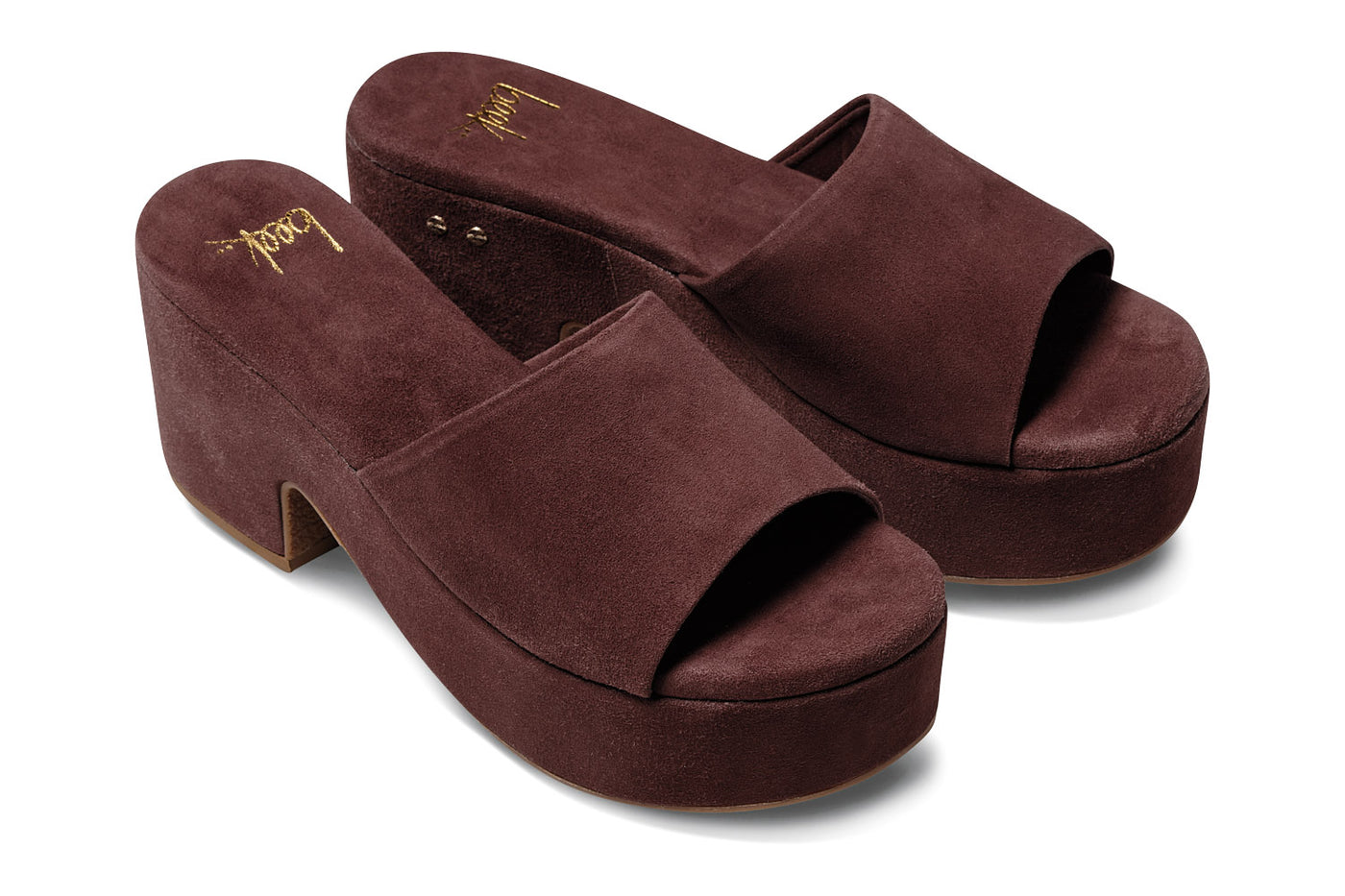 Beek prinia outlet