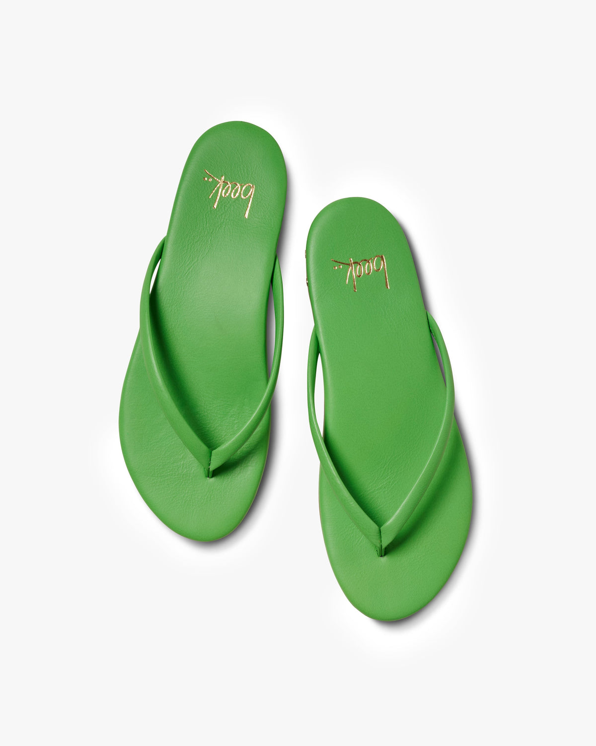 Sunbeam leather flip flop sandal in palm - product top shot