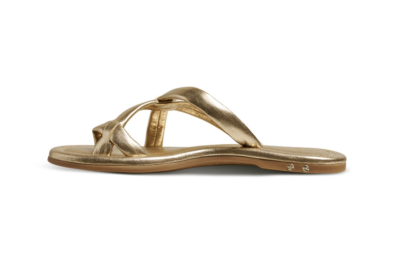 Sungem leather toe-ring sandals in gold - product side shot
