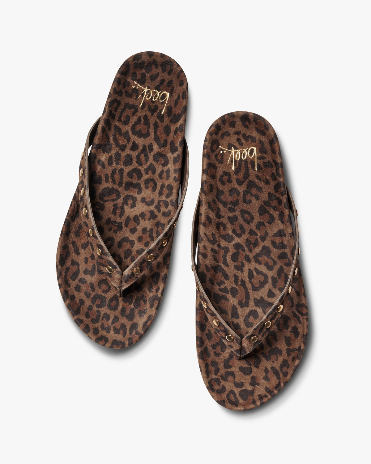 Tringa suede flip flop sandal in leopard with gold studs - product top shot