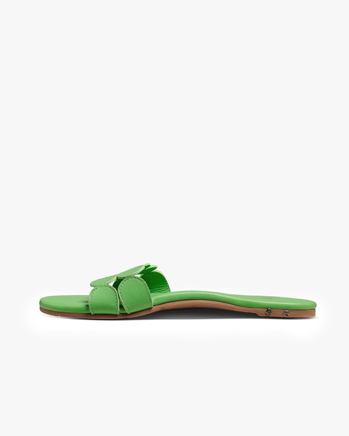 Whirlybird leather slide sandals in palm - product side shot