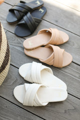 Surfbird group product shot in black, beach, eggshell