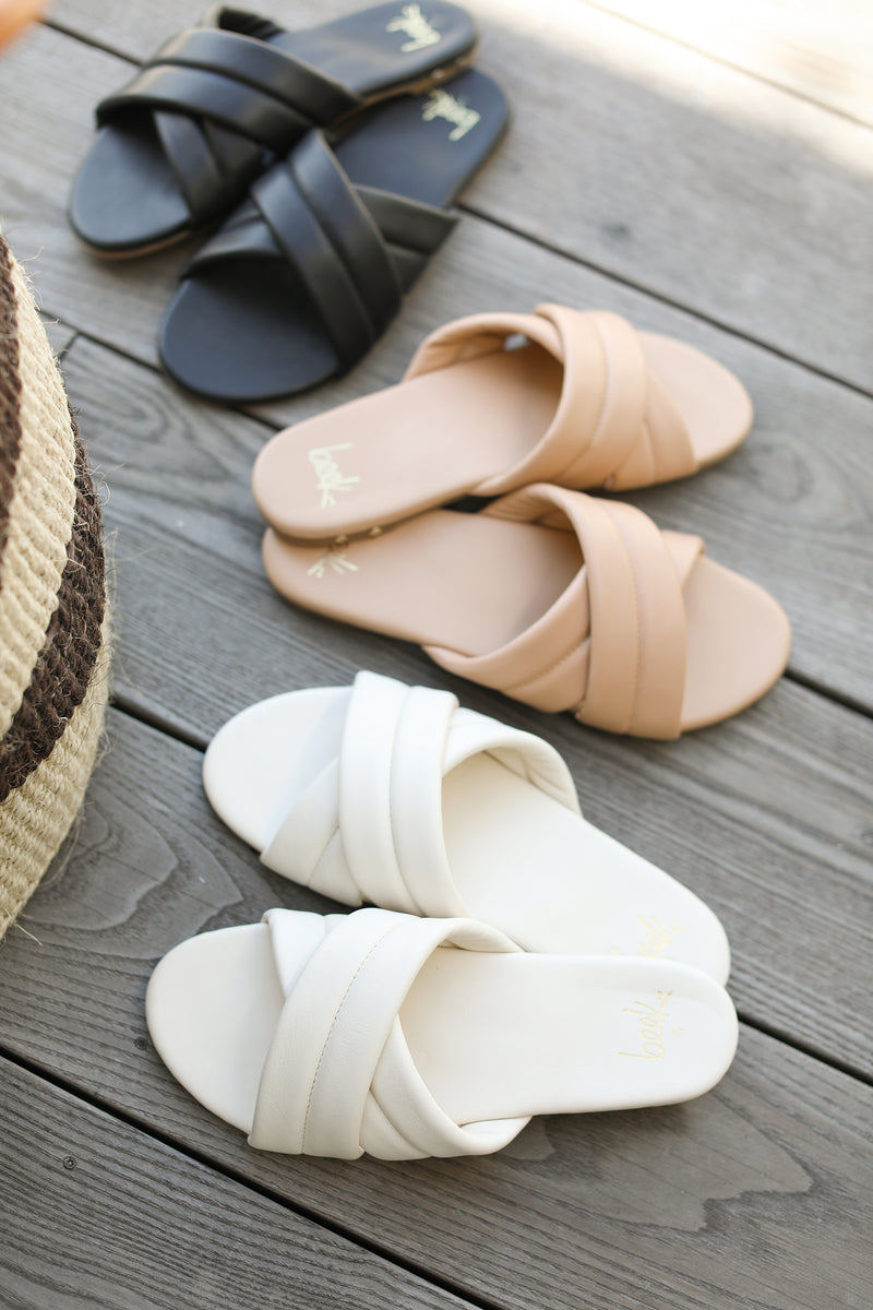 Surfbird group product shot in black, beach, eggshell